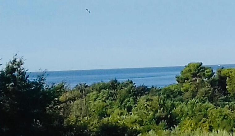 Apartment Ivana,Mali Maj Porec Bagian luar foto